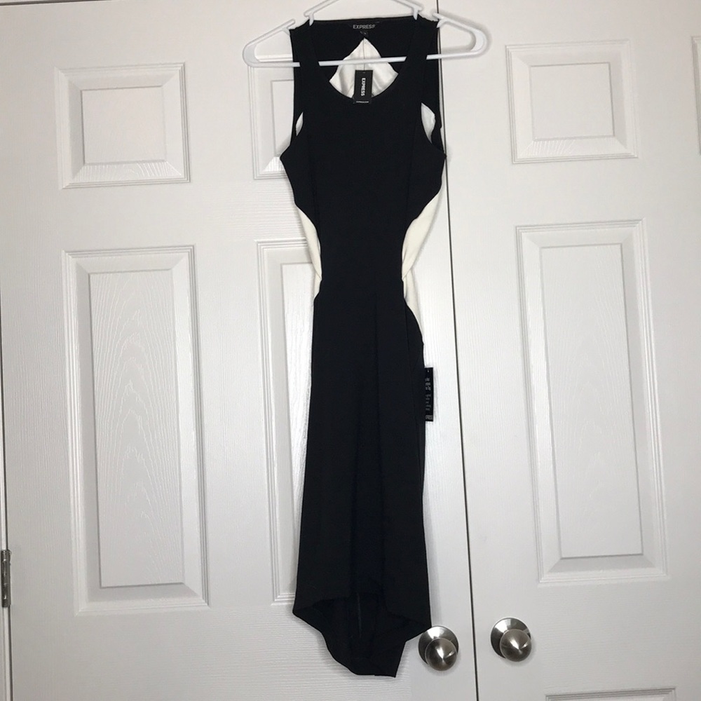 Express Fitted Dress